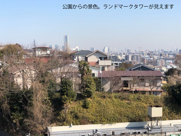 公園からの景色