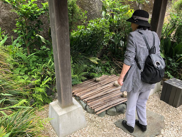 六ツ川４丁目ウォーキング会３