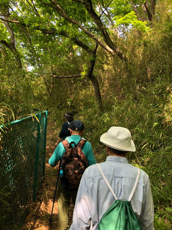 六ツ川４丁目ウォーキング会5