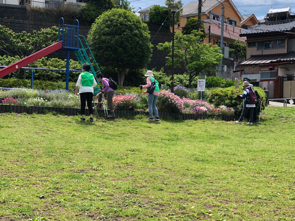 別所地区ノルディックウォーキング5