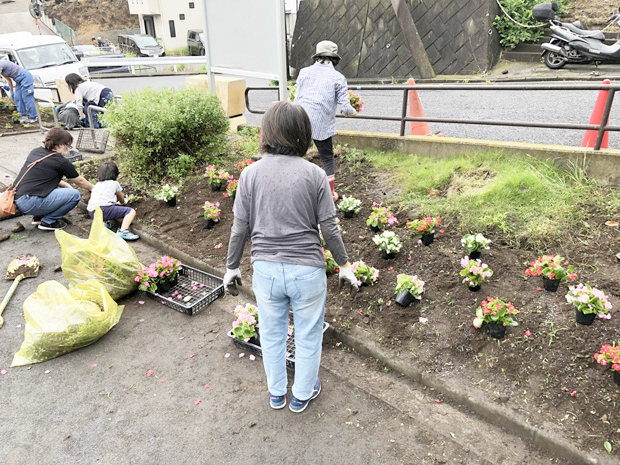 高嶺自治会の花苗の植栽2